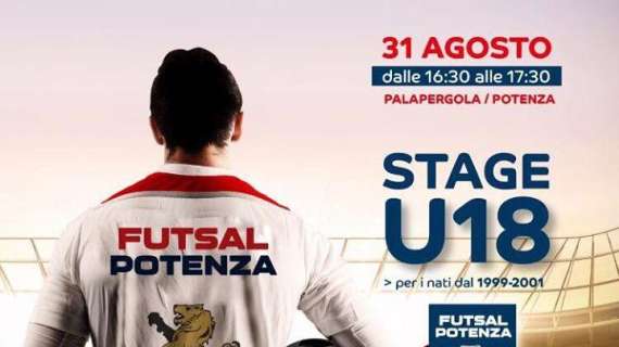 Il Futsal Potenza "lancia" uno stage per giovani calciatori di calcio a 5...