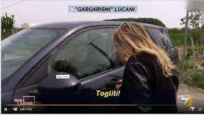 IL LEONE SCAPPA DALL'ARENA