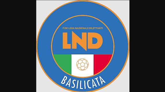 Ecco le scelte del Comitato Regionale Figc Basilicata per quanto riguarda la scelta degli under nel campionati di Eccellenza e Promozione nella stagione 25/26