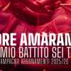 Reggina, al via seconda fase campagna abbonamenti: i prezzi e il costo a partita in base al costo tessera