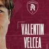 Reggio Calabria, Velcea c'è, il giudizio di TuttoReggina: "Si fa trovare pronto"