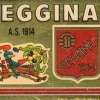 Le vicende storiche della denominazione sociale: la storia amaranto, in attesa di poter riutilizzare il nome Reggina