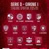 Serie D 2025-2026, ecco i gironi: Gelbison e Savoia le campane del girone I