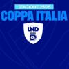 Coppa Italia serie D, in campo per i Sedicesimi di Finale: regolamento e date della competizione 