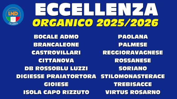Eccellenza e Promozione: Locri e San Luca rinunciano