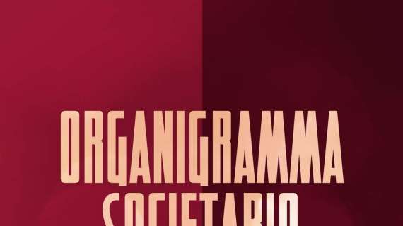 Reggina, il nuovo organigramma societario: tutti i ruoli nel dettaglio 