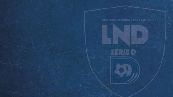 Serie D girone I, il nuovo regolamento playout dopo il ritiro dell'FC Lamezia Terme