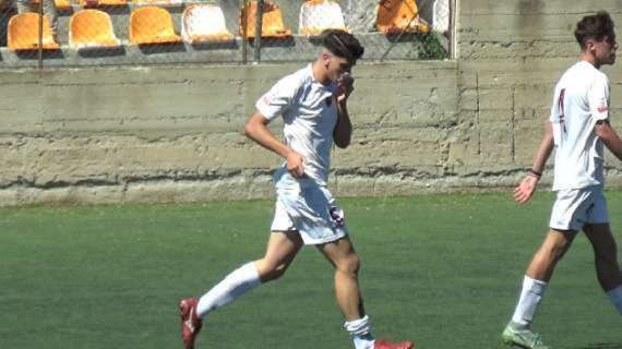 Reggina: tra la morsa della politica e fantomatici acquirenti. Intanto arriverà Girasole junior