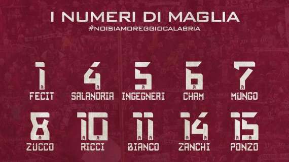 Nuova Reggina, la numerazione ufficiale: la 10 a Ricci, la 17 a Barillà