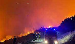 Dramma incendi, Regione Calabria: "110 roghi attivi, 34 nel Reggino"