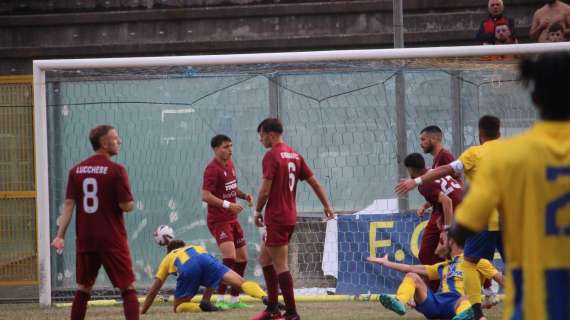 FC Lamezia Terme si ritira dalla D: tutte le reazioni degli altri club, girone I disastrato