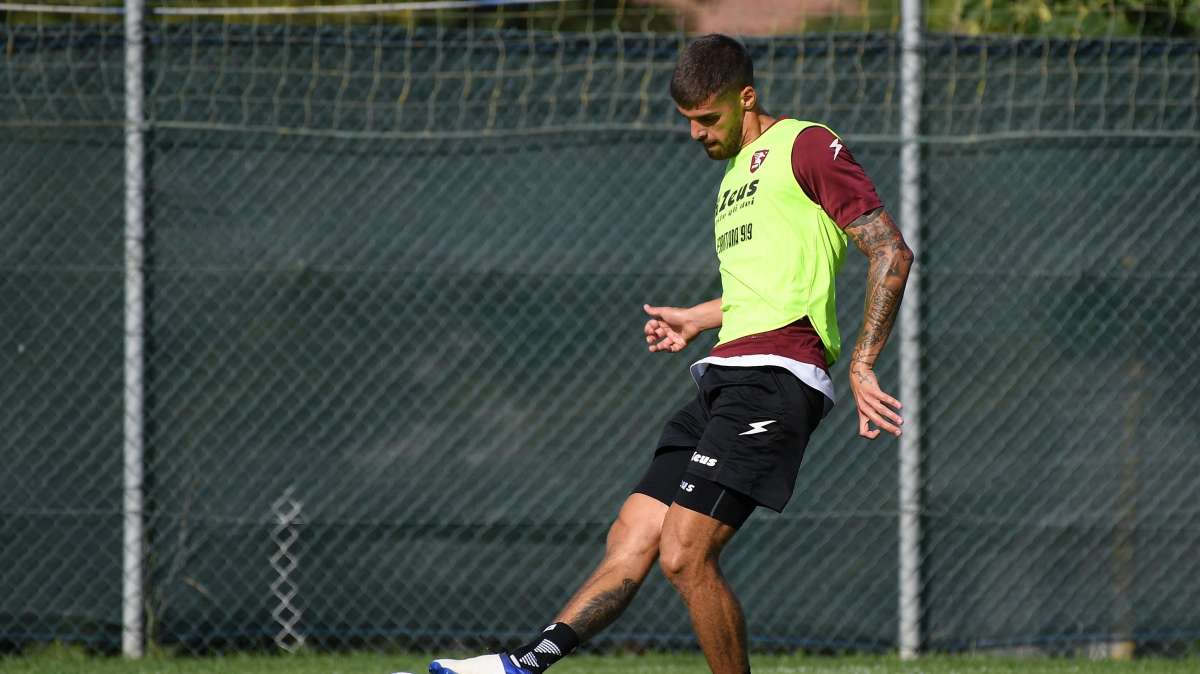 Ternana-Reggina, nessun problema per Bogdan: le ultime