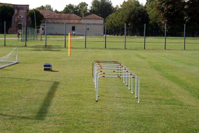 REGGINA - Dionigi lavora sulla (pre)tattica