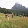 Il 4 luglio l'edizione numero 11 della Primiero Dolomiti Marathon sulle tre distanze: km 42, 26 e 16 