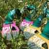 "Subasio Crossing": in Umbria tutto è pronto per una domenica di sport all'aperto da Collepino di Spello (PG)