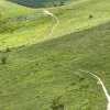 L'Umbria più bella è di corsa con il "Subasio Crossing": in tanti al trail running di Collepino di Spello (PG)