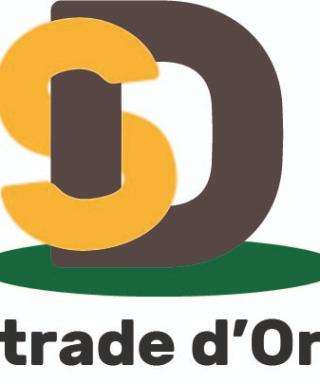 In Toscana è nato il Circuito Strade d'Oro 2026 con 13 gare in tutta la regione: si partirà il 6 aprile da Pietrasanta