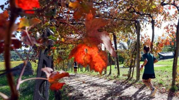 Si pensa già all'EcoMaratona del Chianti Classico dal 17 al 19 ottobre