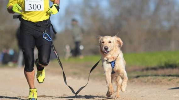 Gare podistiche insieme al proprio cane? Il regolamento della Fidal parla chiaro...