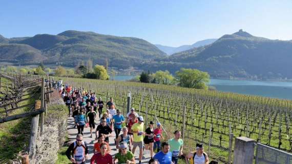 Il 26 marzo appuntamento con la Mezza Maratona di Caldaro, oltre alla 15 km e alla 4 km
