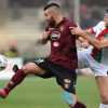 Salernitana, occhio all'ex: il record di Coda e una stagione non positiva con la Sampdoria