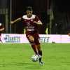 Salernitana, la probabile formazione in vista di Cosenza. Il caso Inglese cambia le gerarchie?