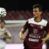 Salernitana, chi in attacco con Inglese?