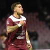 La Salernitana manda tutti in gol: Molina è il sedicesimo squillo