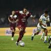 Casarano-Salernitana, granata leggermente favoriti: ecco le quote