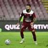 Salernitana e la difesa: esperienza, fisicità e duttilità. L'arrivo di Frascatore dà anche velocità