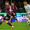 [VIDEO] Salernitana-Carrarese: gli highlights del match