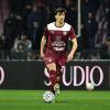 Salernitana, incroci speciali per Matteo Arena