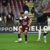 Salernitana, Cosmi concede un po' di riposo ma la testa è già a Foggia