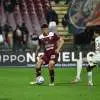 Salernitana, c'è da attendere per i gironi e i calendari