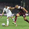 [Photogallery] - Salernitana-Brescia, le foto del match