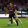 Salernitana, Martusciello potrebbe lanciare Torregrossa dal primo minuto