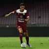 Salernitana, in quattro per due maglie in attacco con un favorito sugli altri