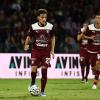 Salernitana, grande impatto di Ferraris: attaccante in fiducia