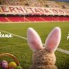 Buona Pasqua: a tutti i lettori di TuttoSalernitana.com