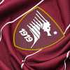 Salernitana: “la storia aziendale del brand” e il valore di mercato del marchio