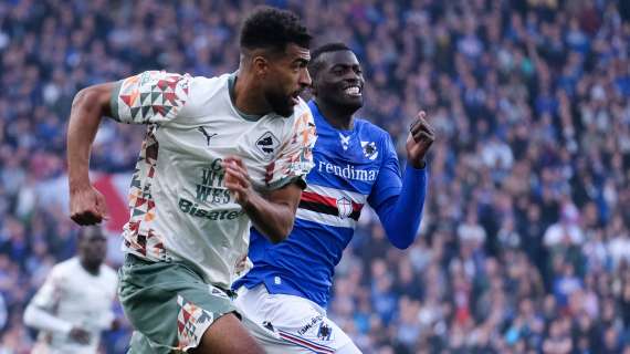 Qui Samp - Niang tra presente e futuro: verso il recupero per la Salernitana ma in partenza a fine stagione