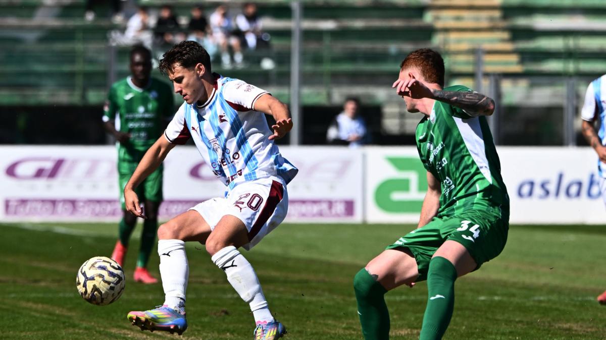 Salernitana cinica con alcune individualità di categoria superiore