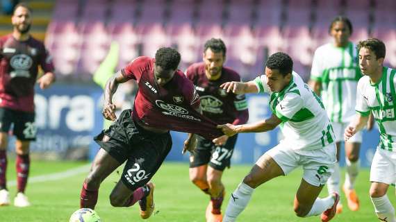 Sassuolo-Salernitana, i precedenti. Neroverdi in vantaggio 