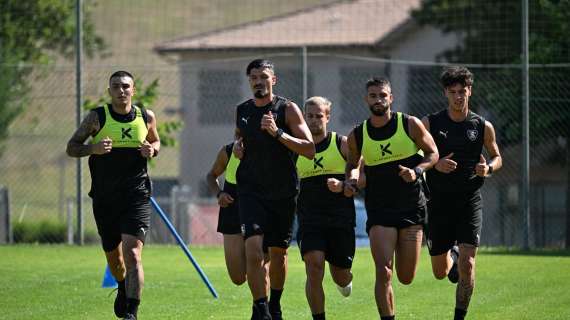 Salernitana, rispetto agli anni scorsi c'è una squadra già più completa a inizio ritiro