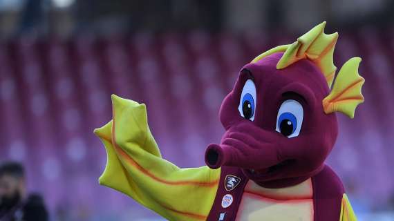 L'ippocampo granata della Salernitana illumina la città di Salerno
