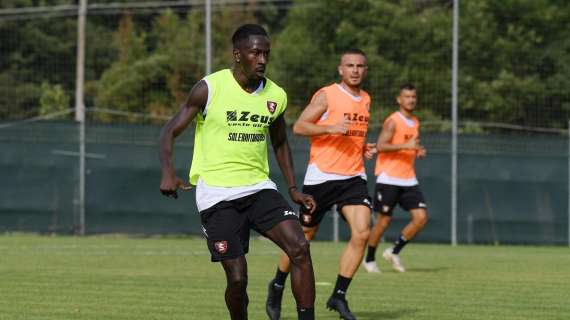 Salernitana, situazione simile ad un anno fa