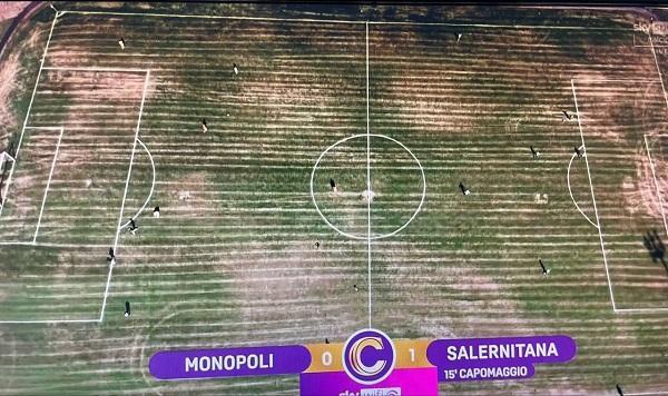 Monopoli-Salernitana, il terreno di gioco fa il giro del web: ecco il motivo delle condizioni disastrose del manto erboso