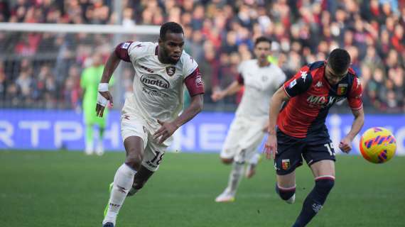 Salernitana-Genoa, alcune statistiche e curiosità sui precedenti