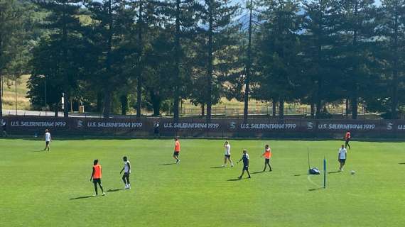 Salernitana, domani la ripresa degli allenamenti: Amatucci si aggrega martedì