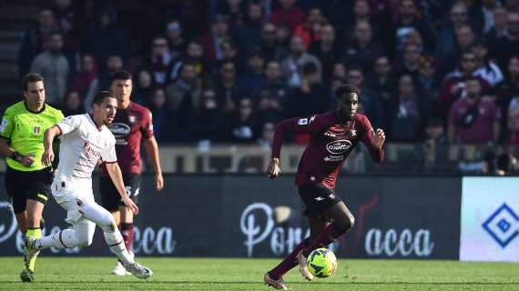 Milan-Salernitana, rossoneri nettamente favoriti: ecco le quote